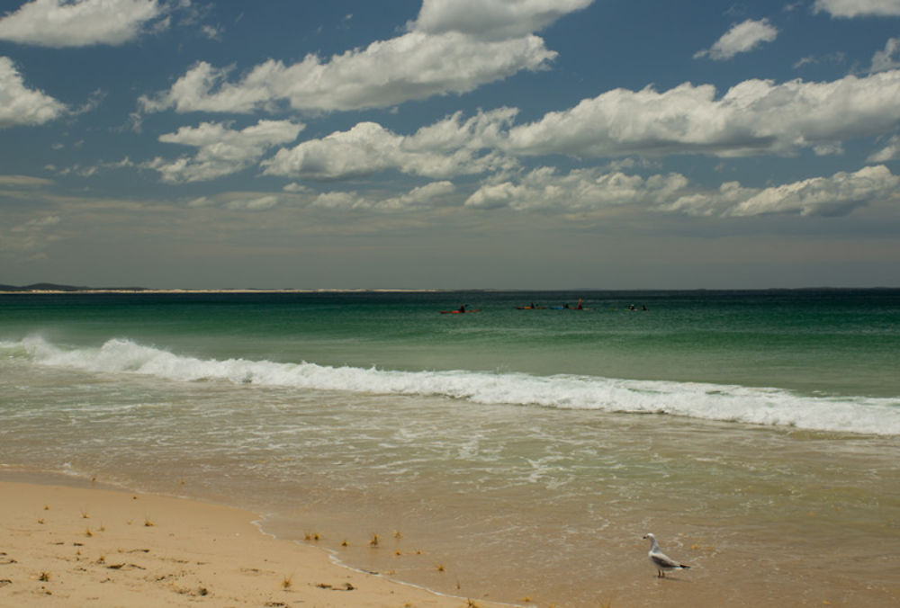 Hawks Nest Beach