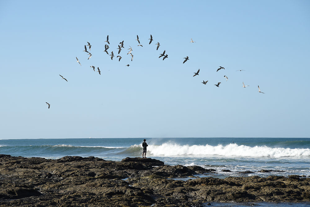 Pêche aux bord de mer au lancer