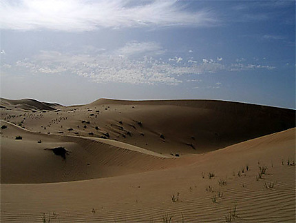 Encore les dunes