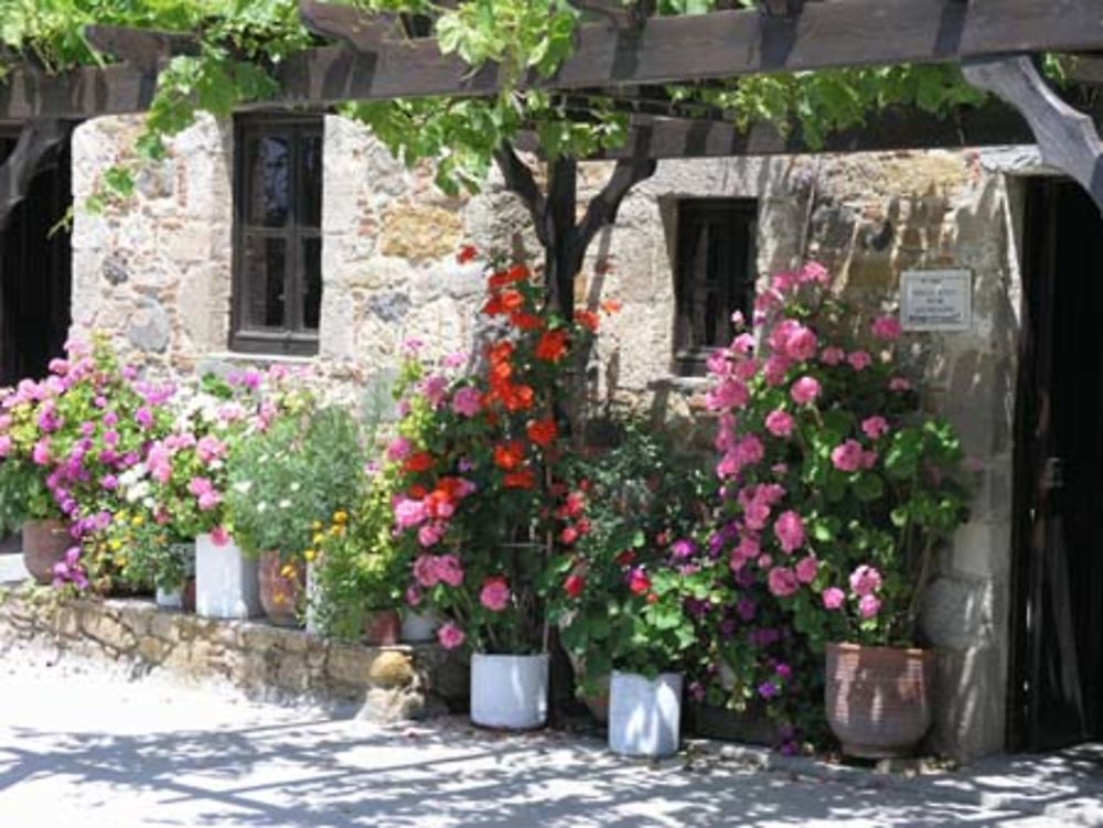 Musée d'Andimachéia à Kos