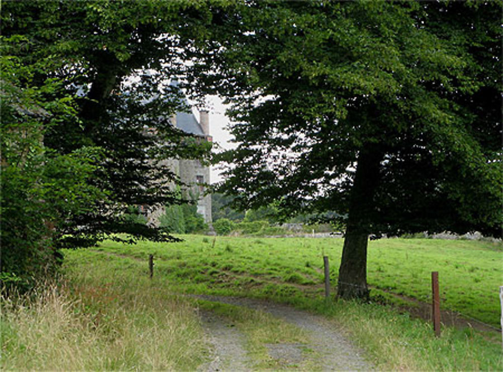 Au détour du chemin