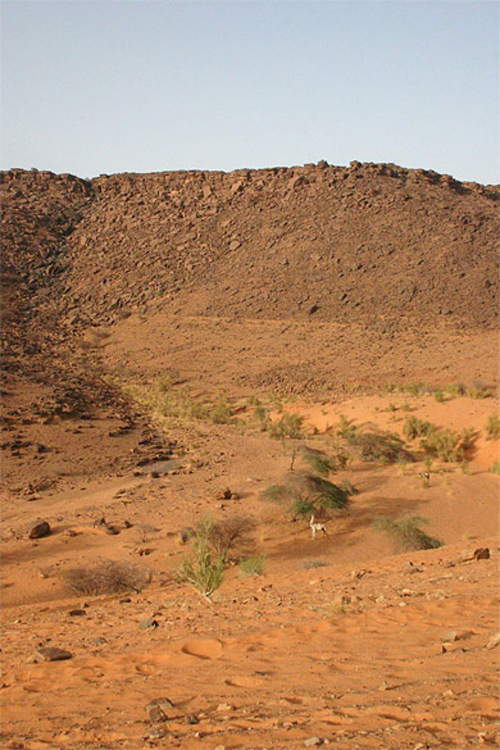 Désert mauritanien