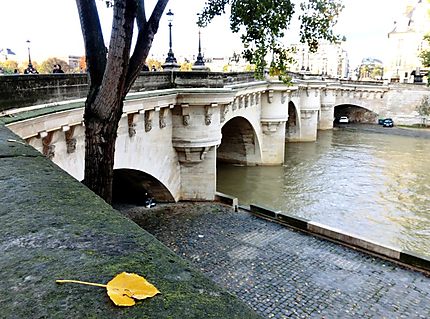 Le pont Neuf en automne