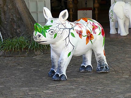 Mignon rhinocéros