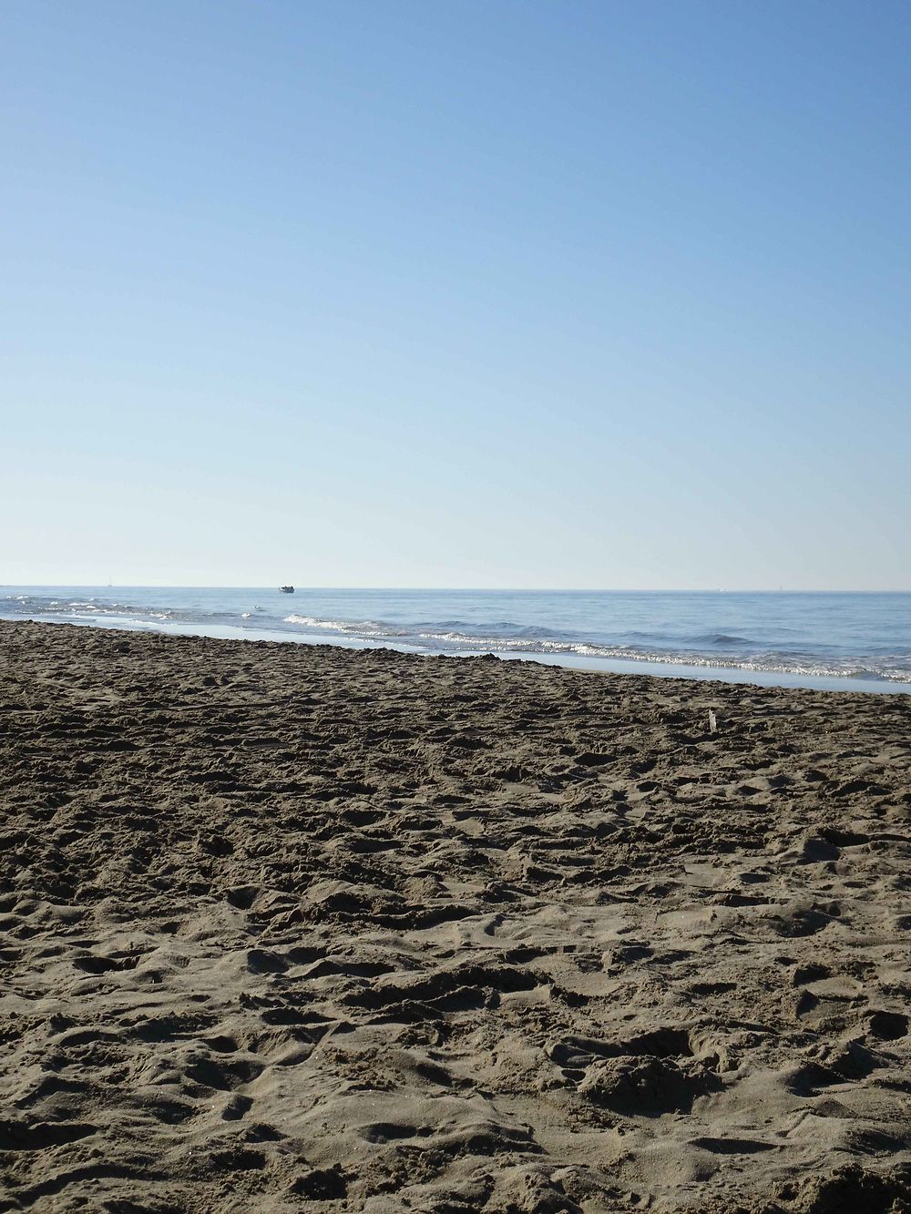 Sable doré plage de l'Espiguette