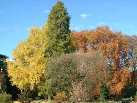 Jardin Botanique Jardin Botanique