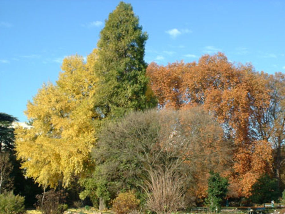 Jardin Botanique