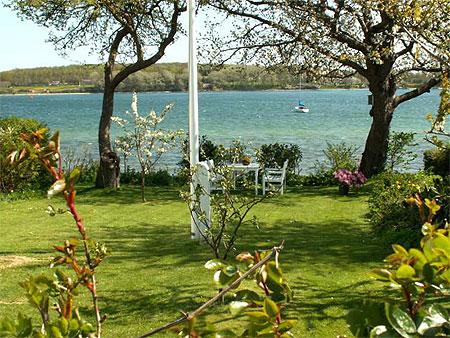 Joli jardin au bord de la Mer Baltique Joli jardin au bord de la Mer Baltique