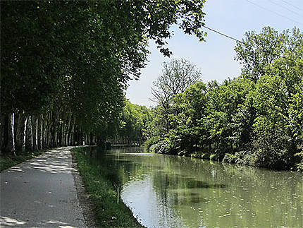 Canal du Midi, 4e bief (bief Bayard, 12 km 177), juste après la Marina de Ramonville Saint Agne, direction l'écluse de Castanet