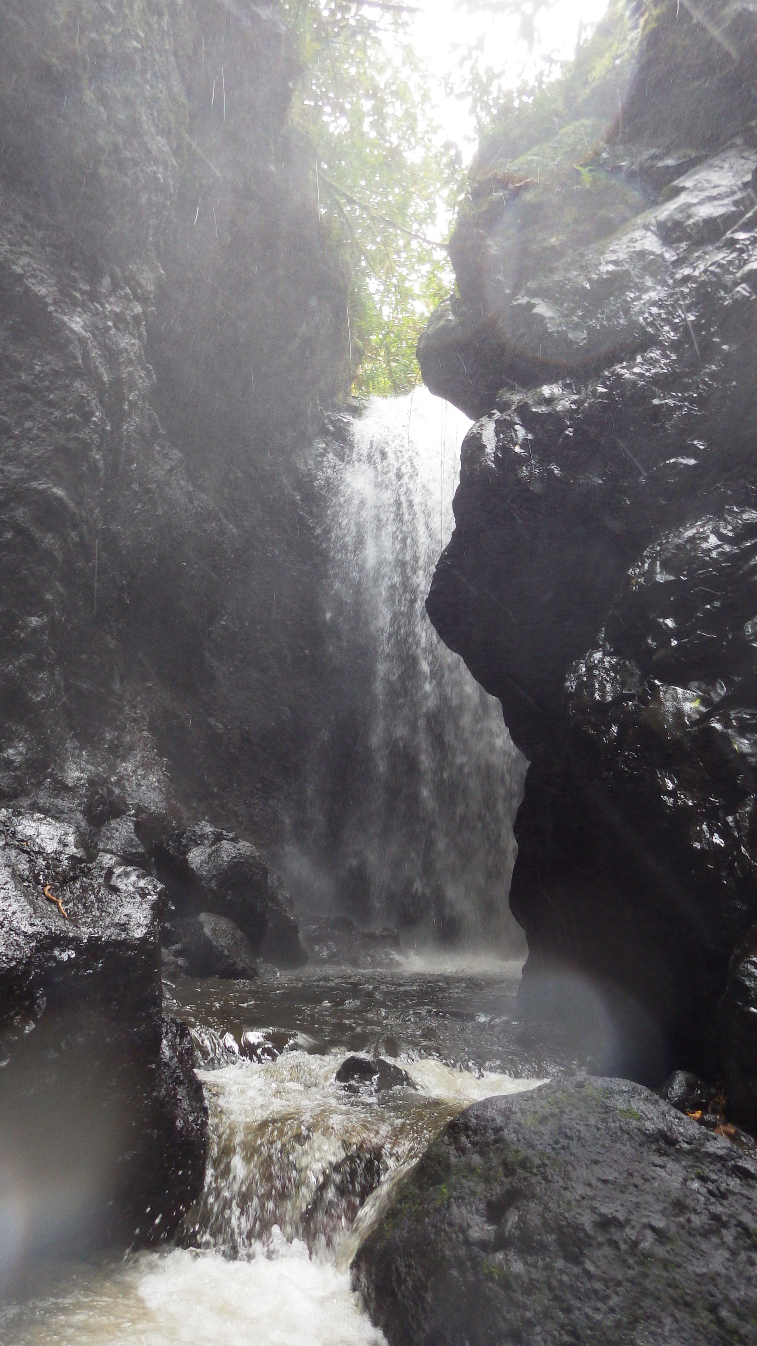 Cascade presqu'île de Tahiti Cascade presqu'île de Tahiti