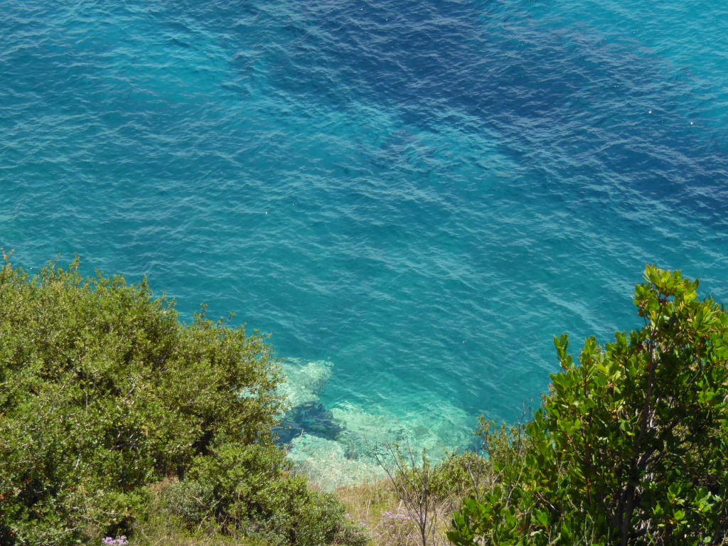 Bleu Bleu