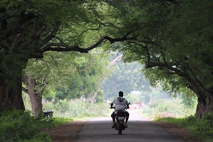 Un motard en route vers Pacchamalai