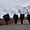 Traversée du Zanskar : la route est longue 