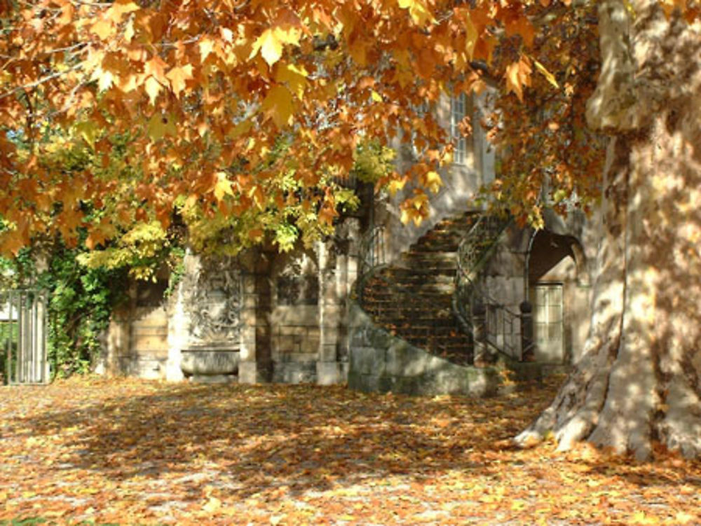 Jardin Botanique