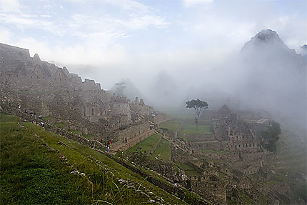 Le Machu Picchu sous la brume