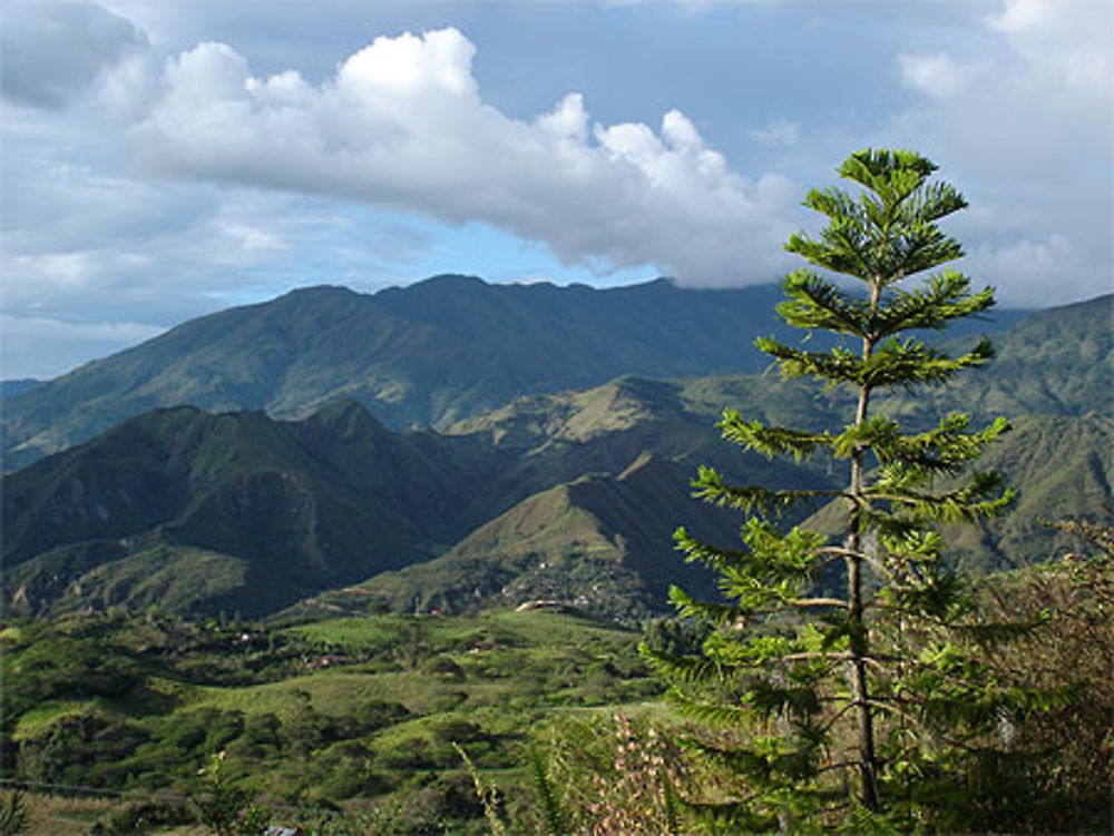 La vallée de Vilcabamba