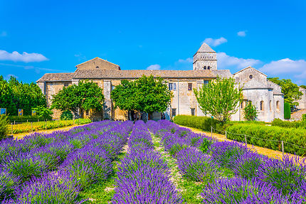 Saint-Rémy-de-Provence, in the footsteps of Van Gogh