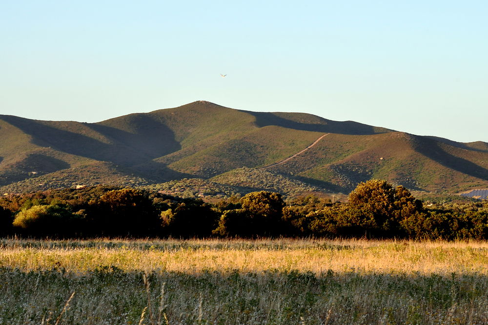 Paysage de Giunssani