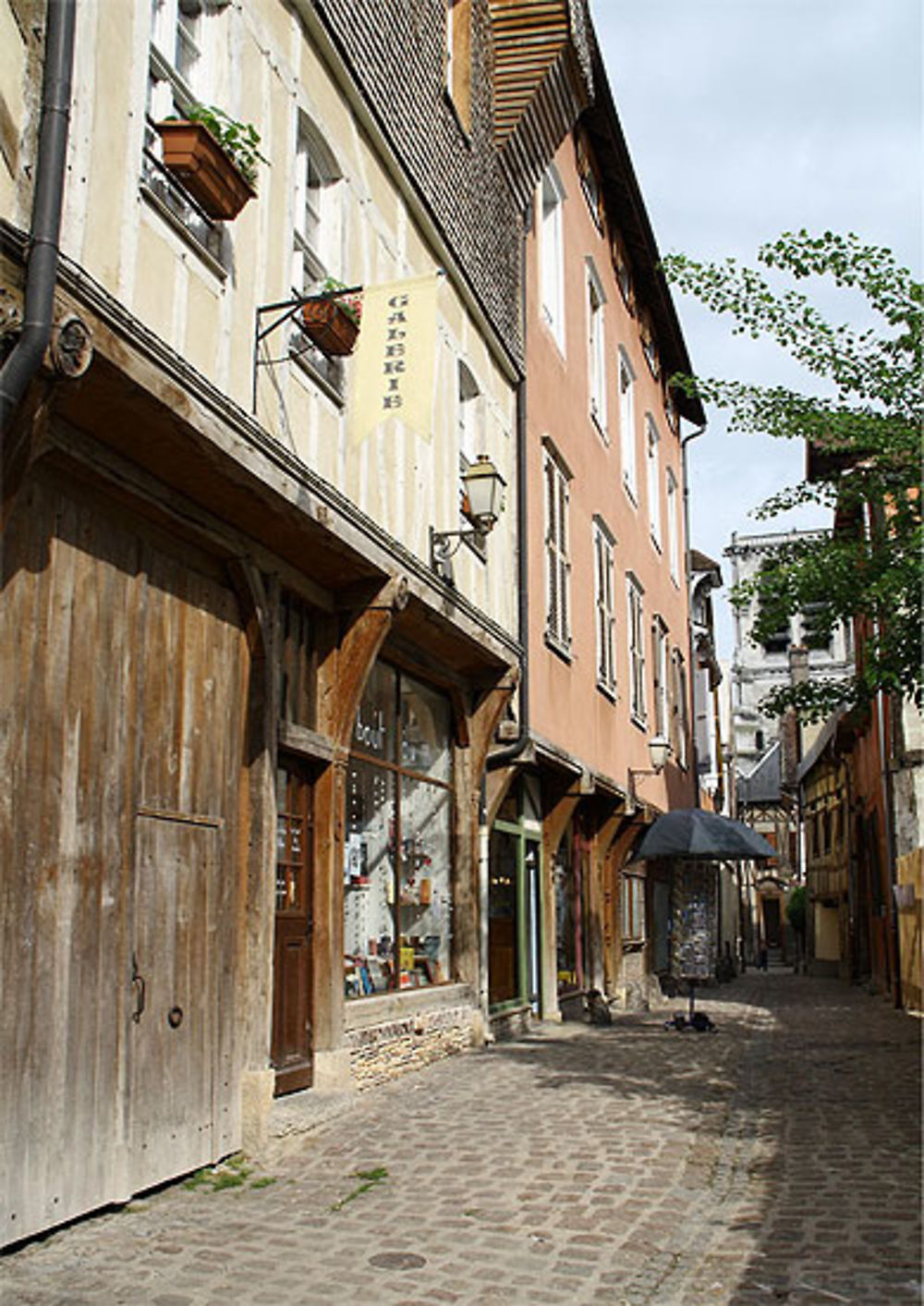 Ruelle des chats