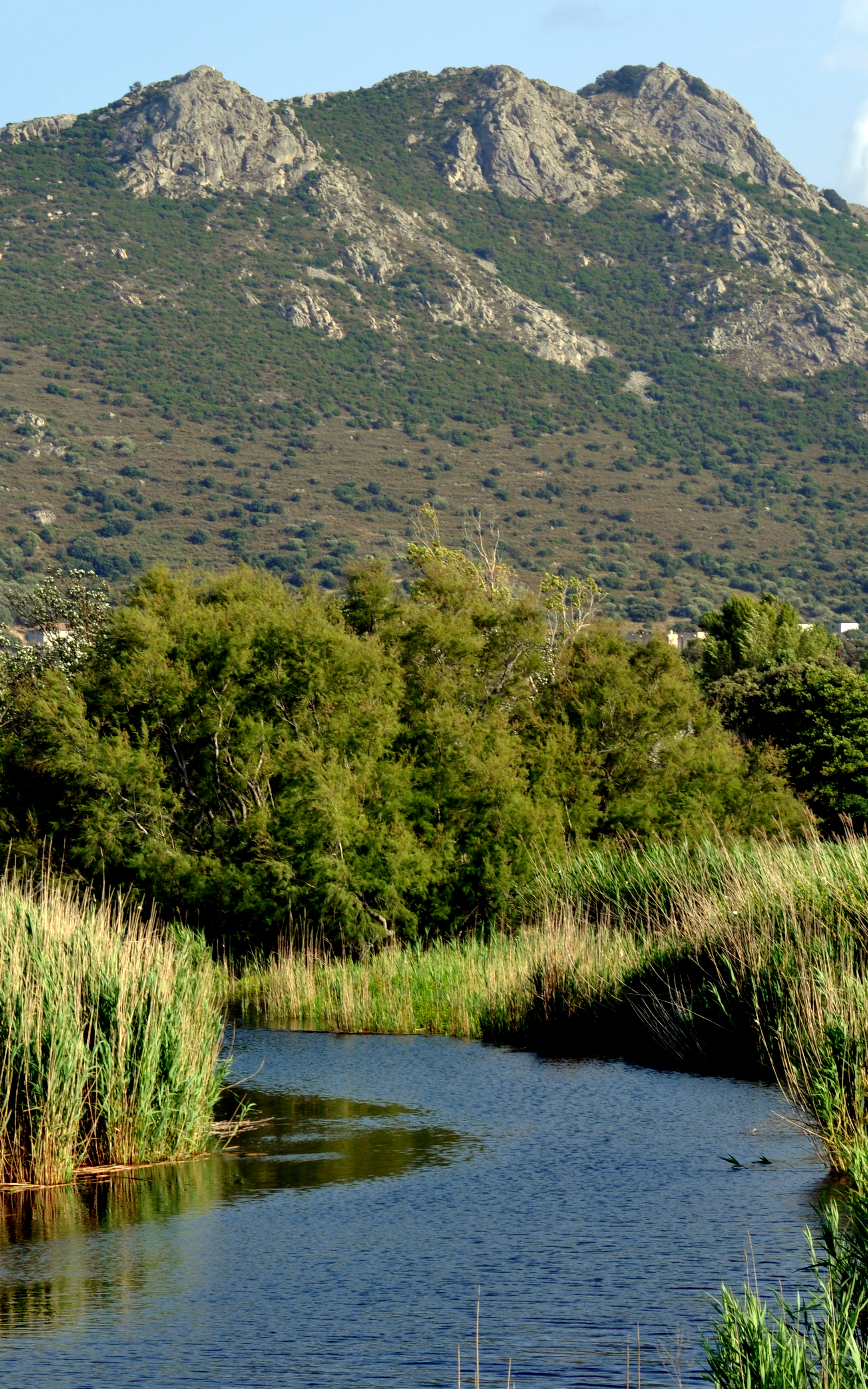 La Balagne La Balagne