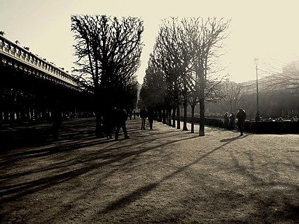 Palais Royal en hiver