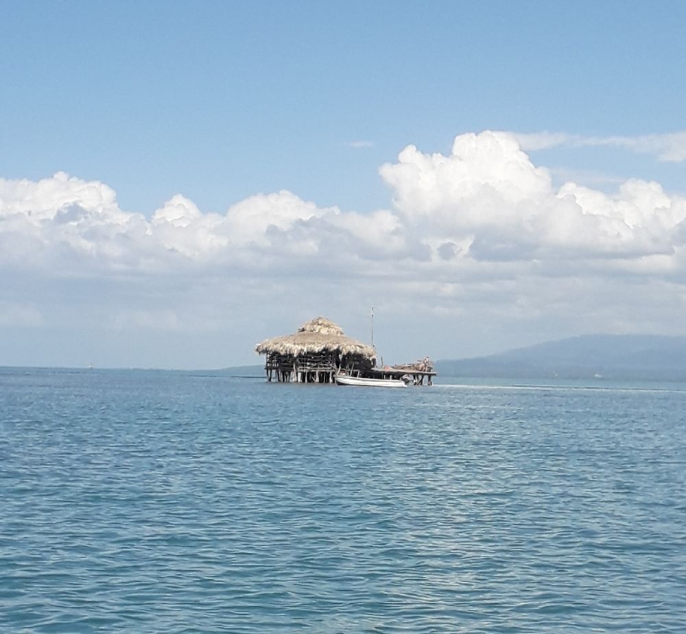 Pelican Bar 