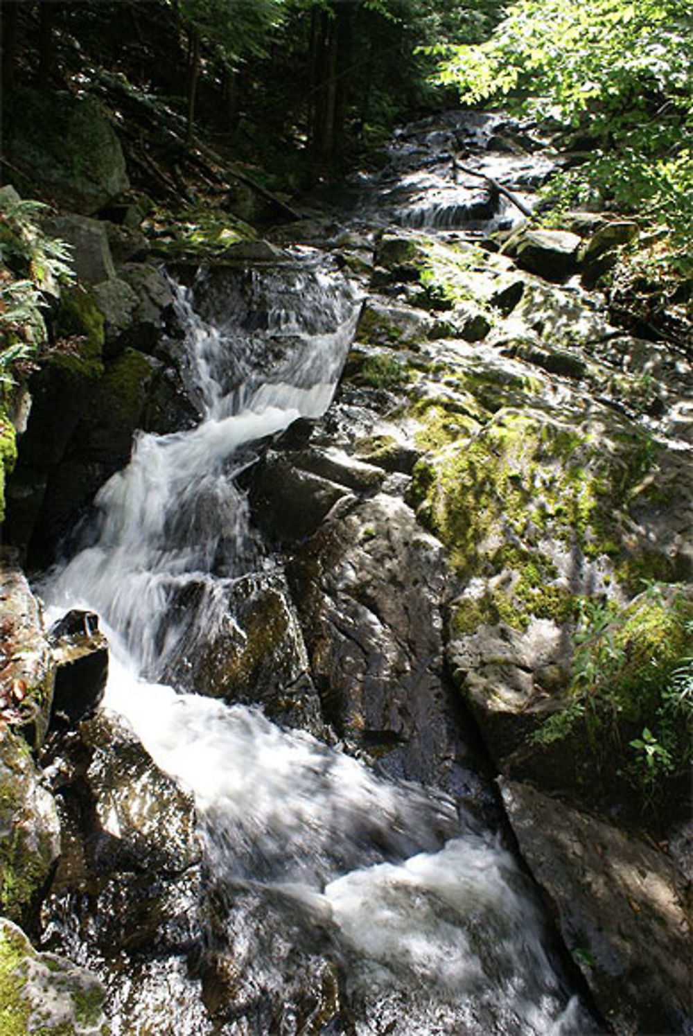 Gatineau Park