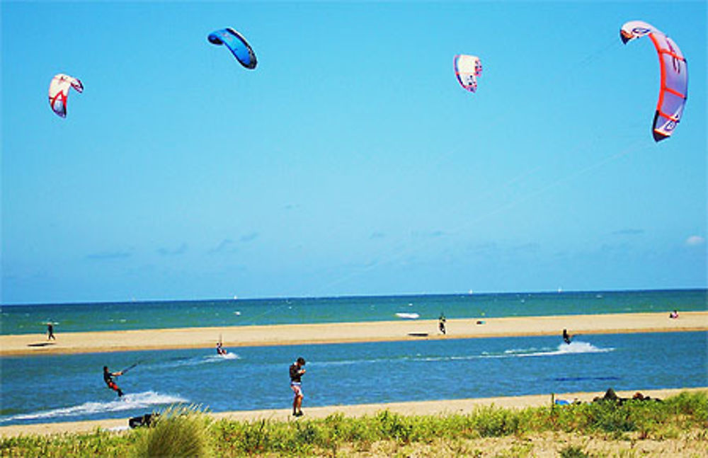 Plages sauvages