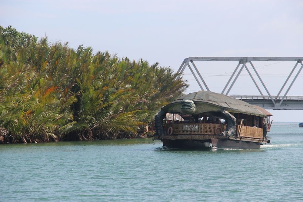 Bateau tortue