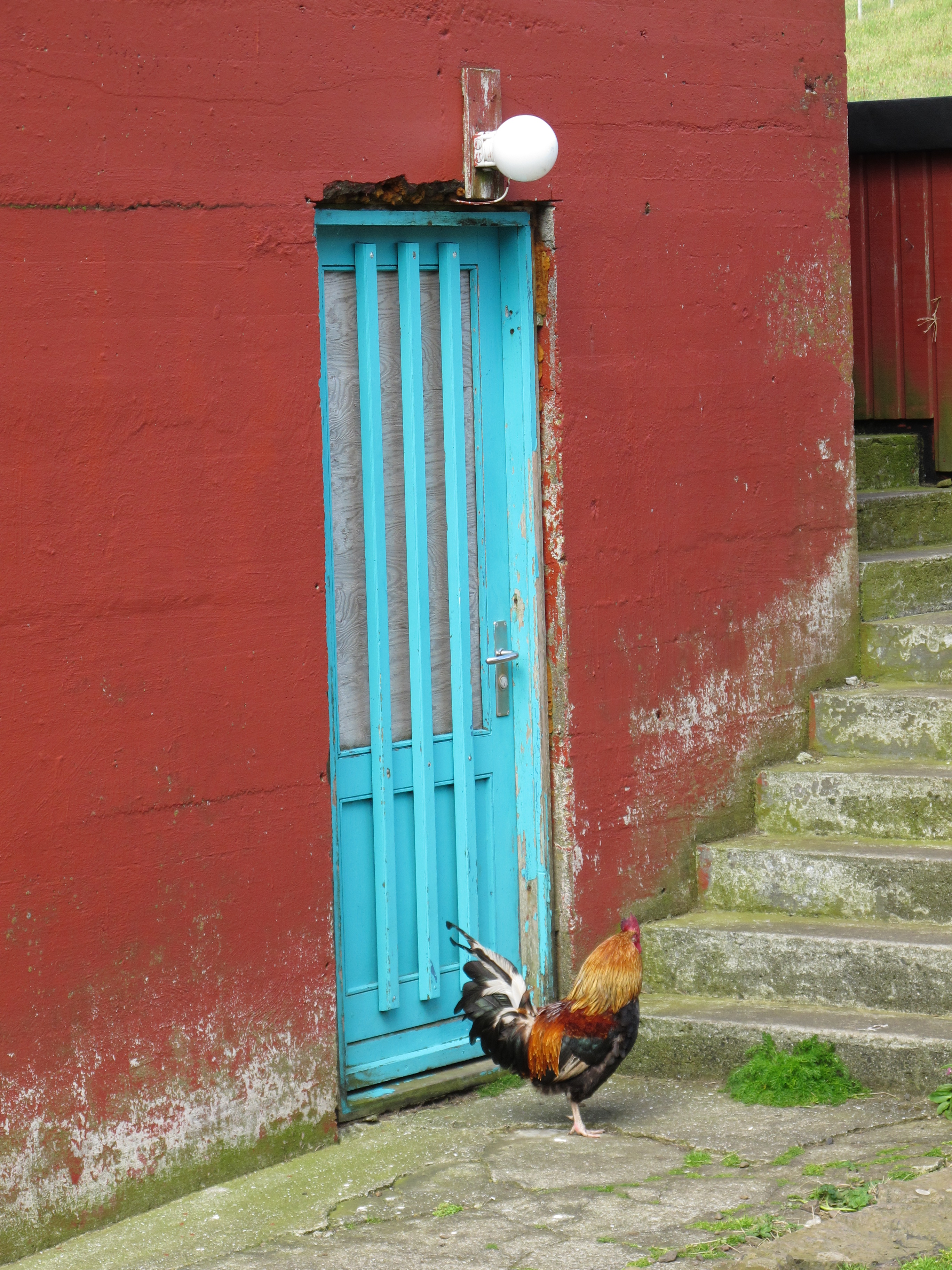 Coq Coq