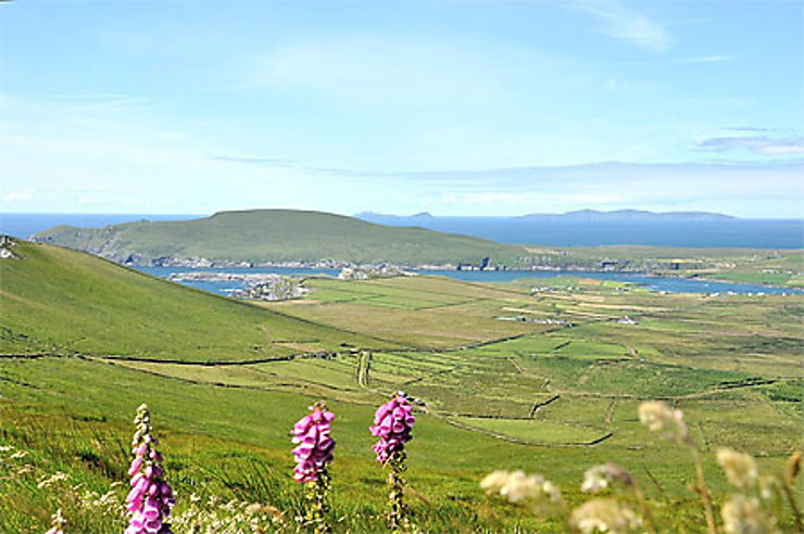 Comté de Kerry et péninsule de Dingle - tilinlin86