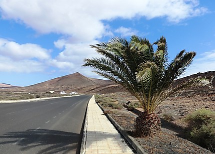 Paysage à Lanzarote