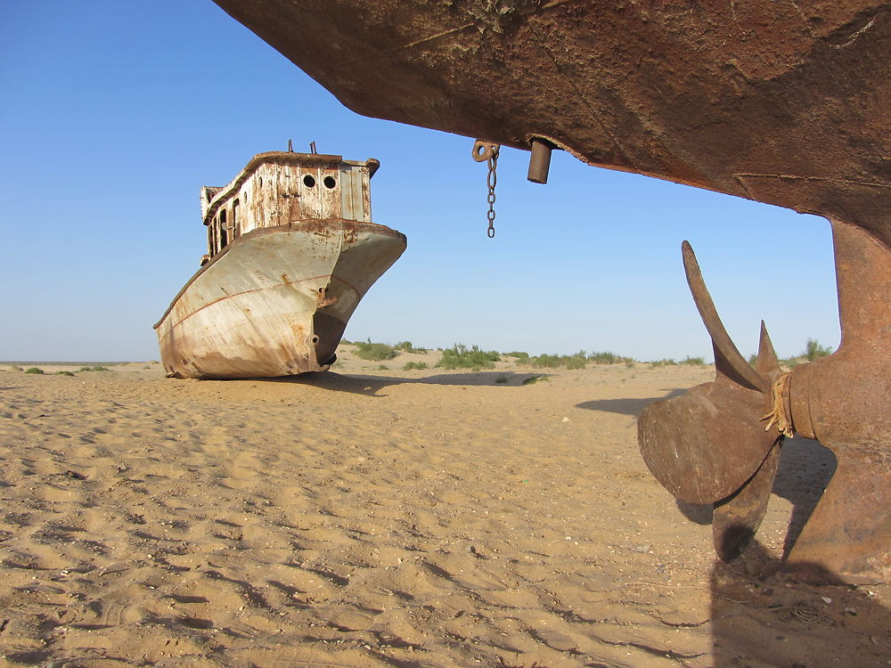 Bateaux orphelins de la mer