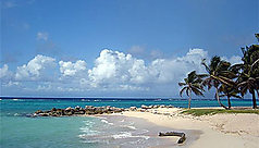 La Guadeloupe, les sens en &eacute;veil