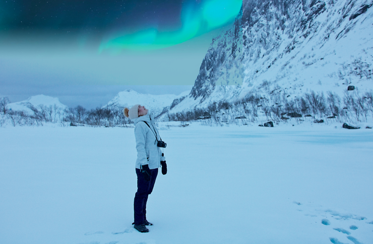 Norvge : les Lofoten et Senja en hiver