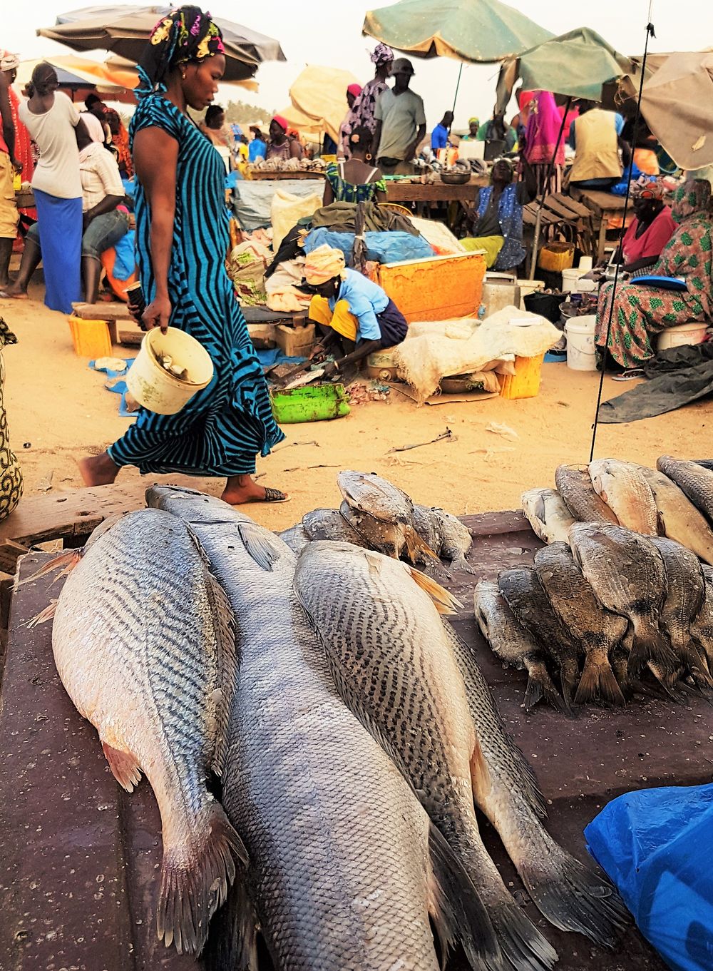 Au marché aux poissons