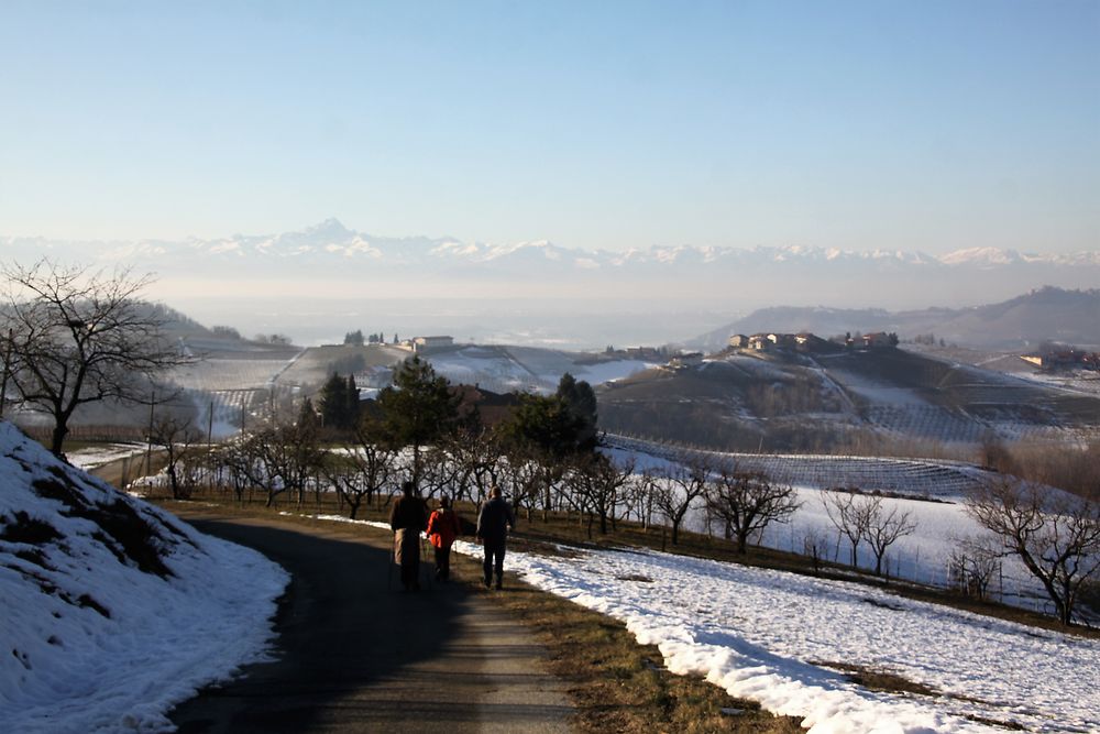 Hiver dans les Langhe