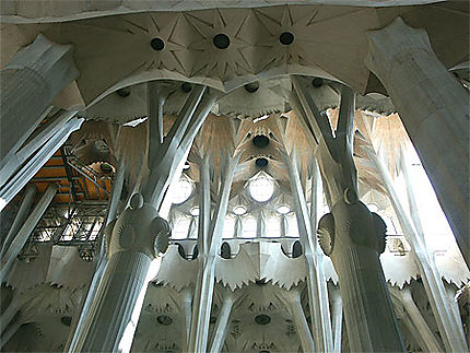 Forêt de colonnes dans la Sagrada Familia