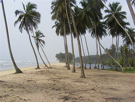Plage d'Ahobre Plage d'Ahobre