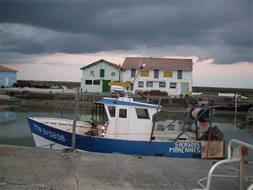 Port de la Cayenne