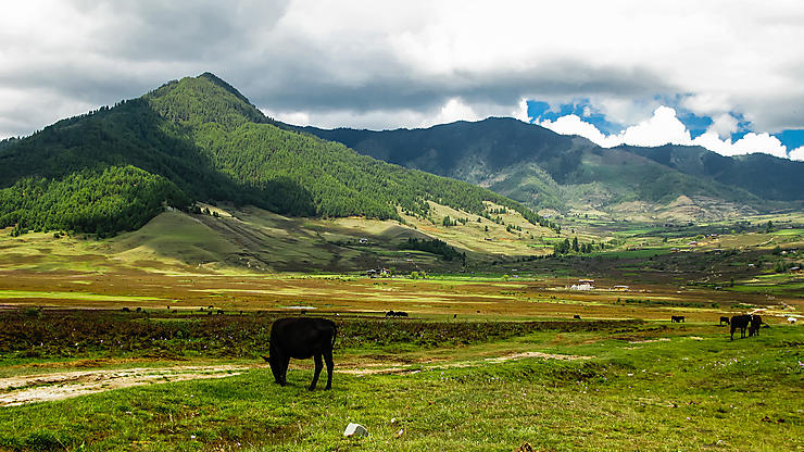 Le meilleur du Bhoutan : les vallées du centre