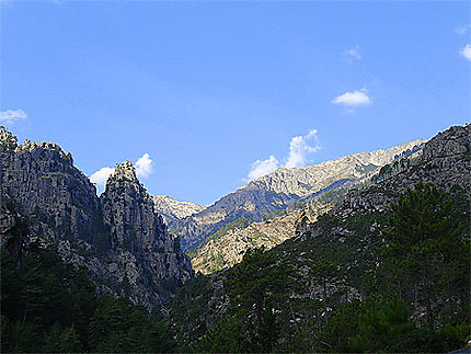 Vallée de la restonica