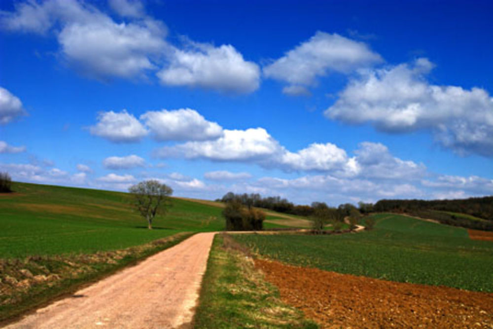 Route de Bourgogne