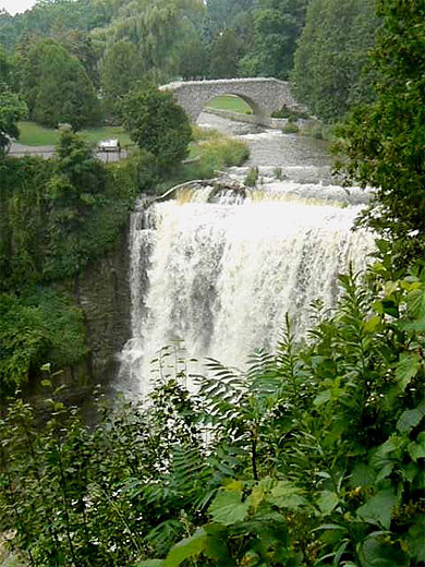 Webster's Falls Webster's Falls
