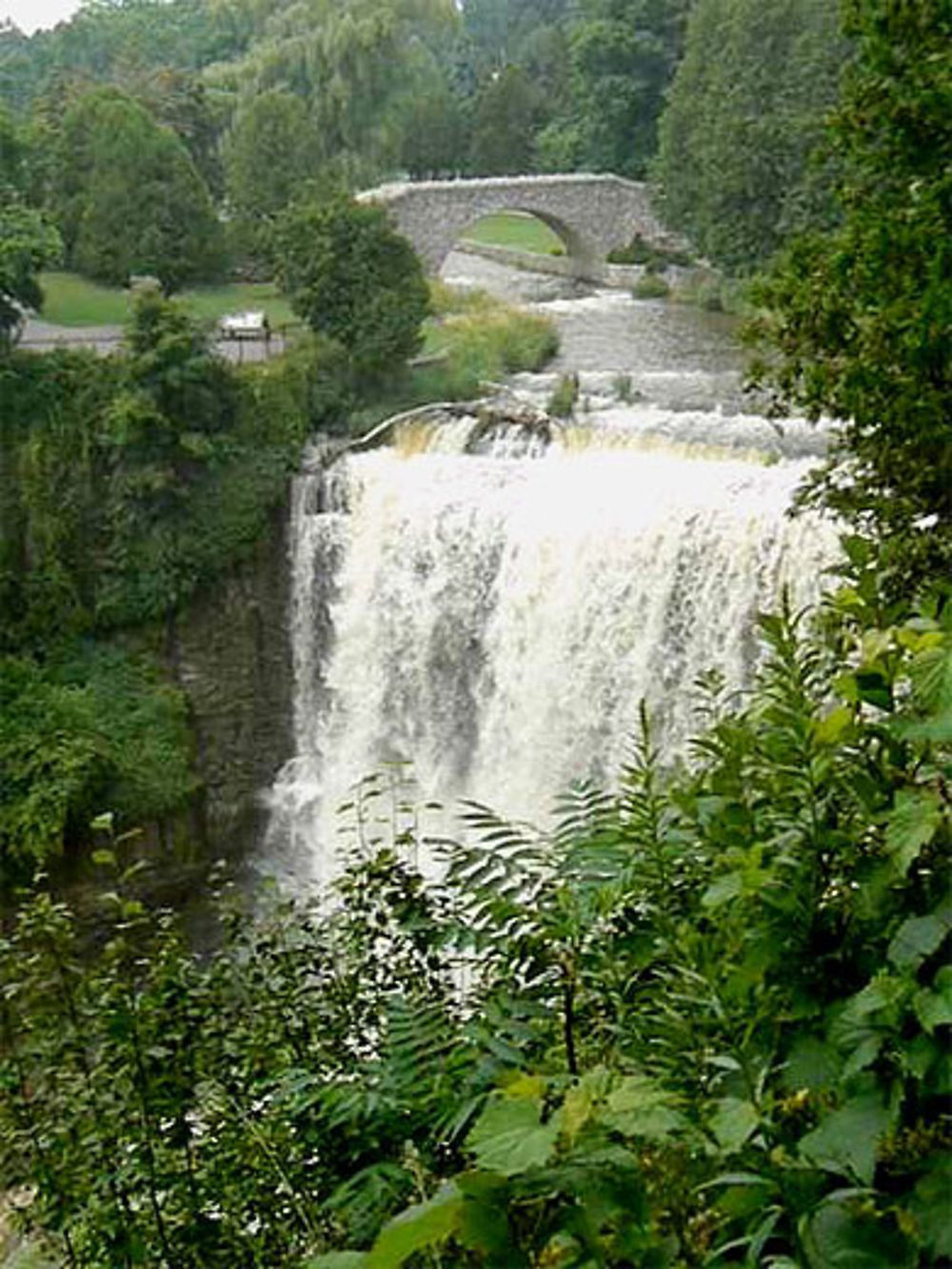 Webster's Falls