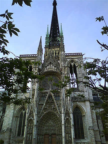 Notre Dame Arbre