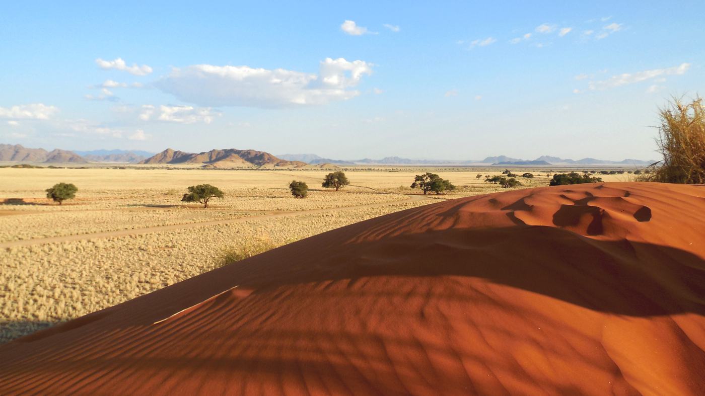 Visiter Désert Du Namib : Préparez Votre Séjour Et Voyage Désert Du ...