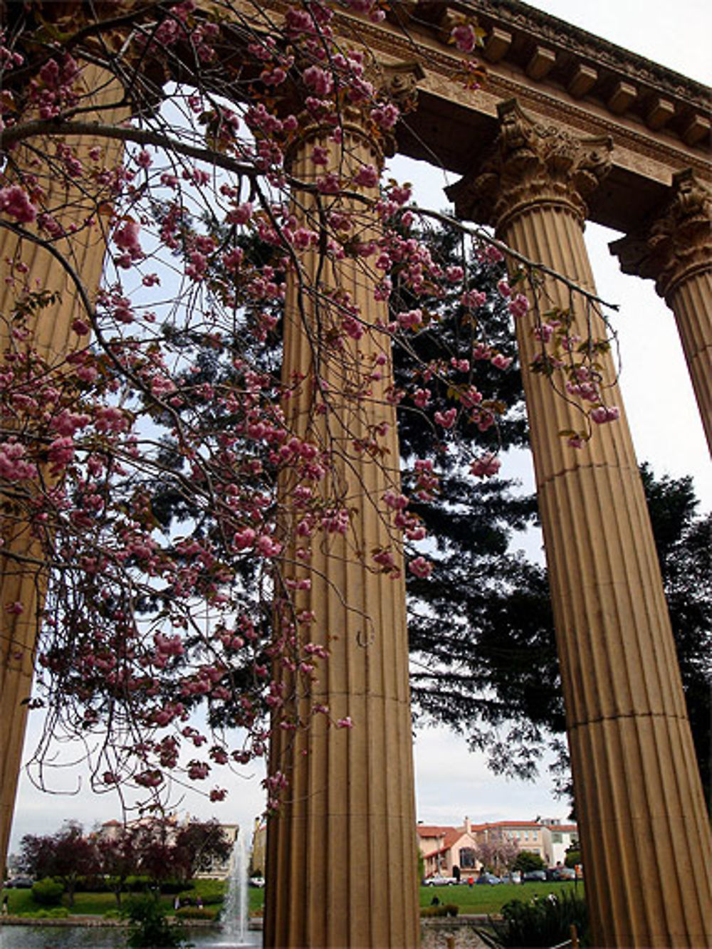 Jardins du palais des Beaux Arts