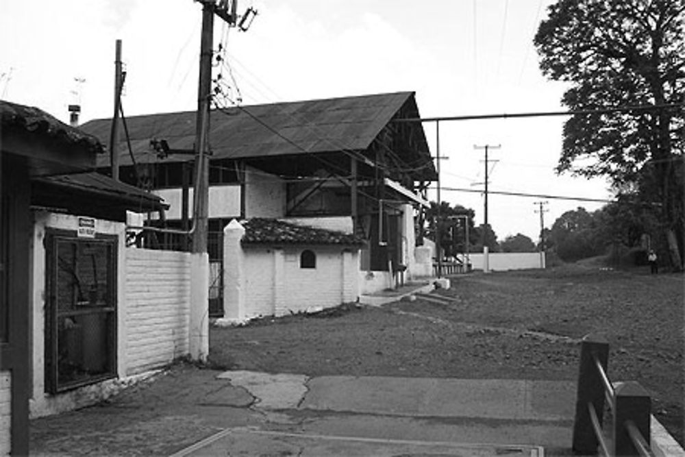 L'usine de café 