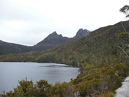 Dove lake (marion's look out)